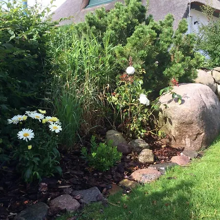 Binsenkate - 度假居 奥斯特西巴德钦诺维茨