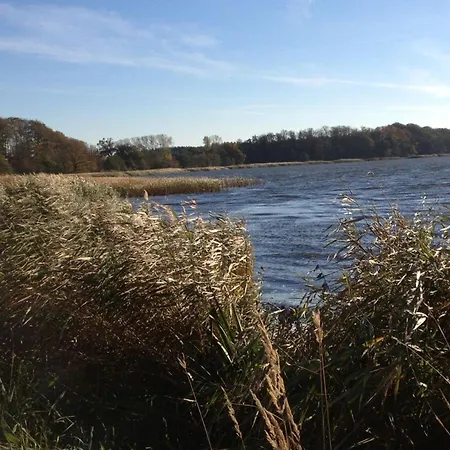 Binsenkate - 奥斯特西巴德钦诺维茨